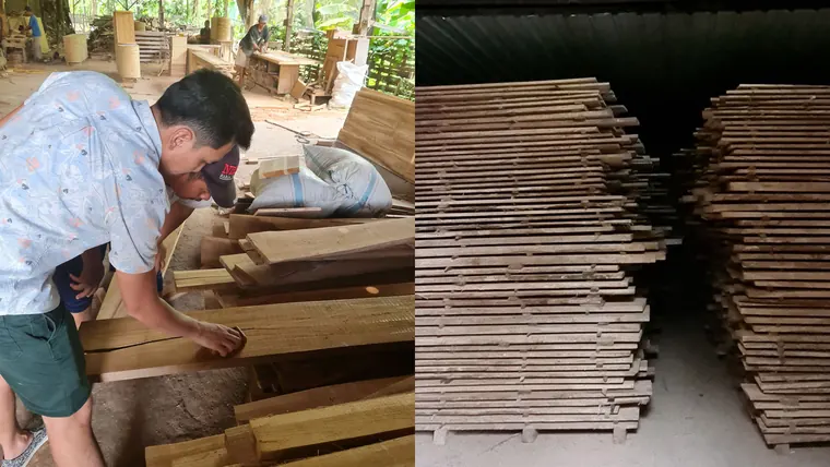 Craftsman checking teak boards stacked after kiln drying